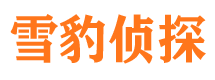 三门调查公司